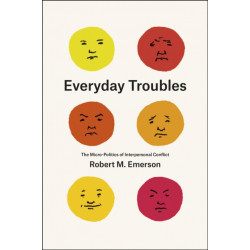 Everyday Troubles: The Micro-Politics of Interpersonal Conflict