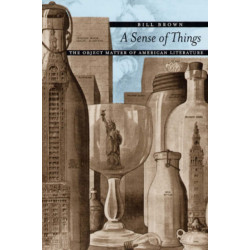 A Sense of Things: The Object Matter of American Literature