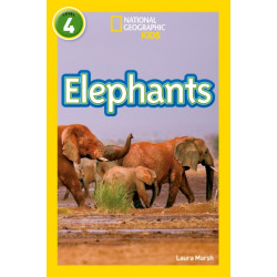 Elephants: Level 4