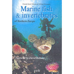 Marine Fish & Invertebrates of Northern Europe