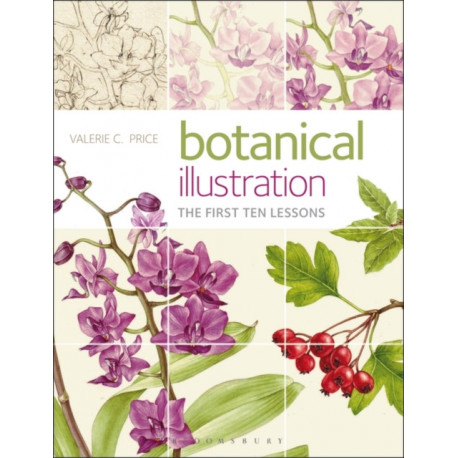 Botanical Illustration: The First Ten Lessons
