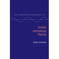 Global Homotopy Theory