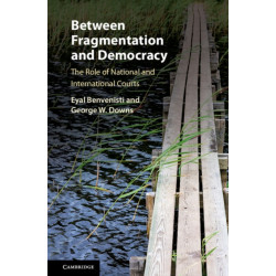 Between Fragmentation and Democracy: The Role of National and International Courts