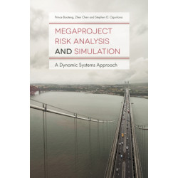 Megaproject Risk Analysis and Simulation: A Dynamic Systems Approach