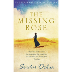 The Missing Rose