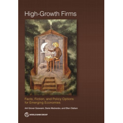 High-Growth Firms: Facts, Fiction, and Policy Options for Emerging Economies