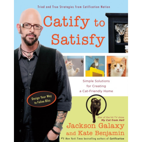 Catify to Satisfy: Simple Solutions for Creating a Cat-Friendly Home