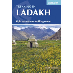 Trekking in Ladakh: Eight adventurous trekking routes