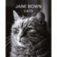 Jane Bown: Cats