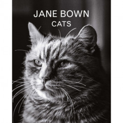 Jane Bown: Cats
