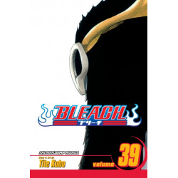 Bleach, Vol. 39: El Verdugo