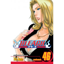 Bleach, Vol. 46: Back from Blind
