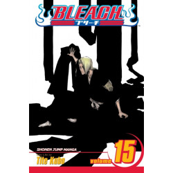 Bleach, Vol. 15: Beginning of the Death of Tomorrow