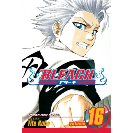Bleach, Vol. 16: Knight of Wijnruit