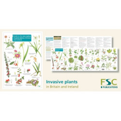 Guide to the non-native invasive plants of Britain and Ireland