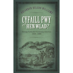 Cyfaill Pwy o'r Hen Wlad?: Gwasg Gyfnodol Gymraeg America 1838-66