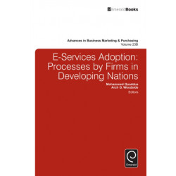 E-Services Adoption: Processes by Firms in Developing Nations