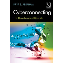 Cyberconnecting: The Three Lenses of Diversity