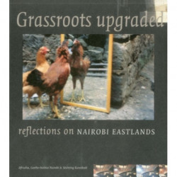 Grassroots Upgraded: Reflections on Nairobi Eastlands