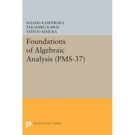Foundations of Algebraic Analysis