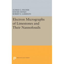 Electron Micrographs of Limestones and Their Nannofossils