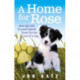A Home for Rose: How My Life Turned Upside Down for the Love of a Dog