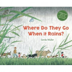 Where Do They Go When It Rains?