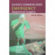 Schein's Common Sense Emergency Abdominal Surgery