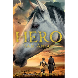 A Horse Called Hero