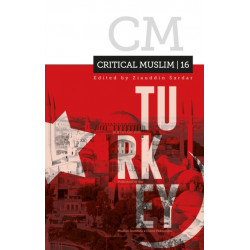 Critical Muslim 16: Turkey