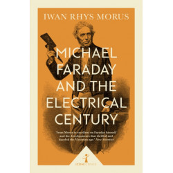 Michael Faraday and the Electrical Century (Icon Science)