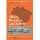 Slaves, Peasants, and Rebels: Reconsidering Brazilian Slavery