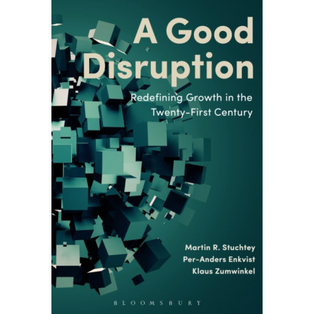A Good Disruption: Redefining Growth in the Twenty-First Century