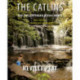 The Catlins and the Southern Scenic Route