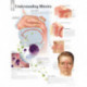 Understanding Rhinitis Paper Poster