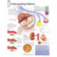 Understanding Diabetes Laminated Poster