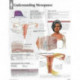 Understanding Menopause Laminated Poster