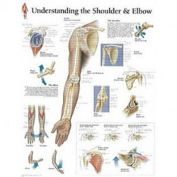 Understanding the Shoulder & Elbow Laminated Poster