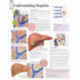 Understanding Hepatitis Paper Poster