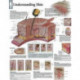 Understanding Skin Laminated Poster