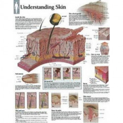 Understanding Skin Laminated Poster