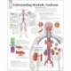 Understanding Metabolic Syndrome Laminated Poster