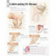 Understanding the Prostate Laminated Poster
