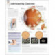 Understanding Glaucoma Laminated Poster