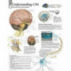 Understanding CNS Laminated Poster