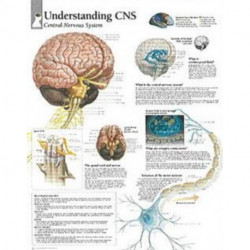 Understanding CNS Laminated Poster