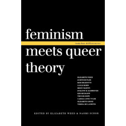Feminism Meets Queer Theory