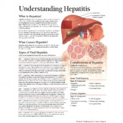 Understanding Hepatitis Model