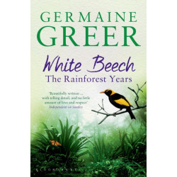 White Beech: The Rainforest Years