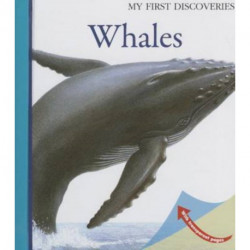 Whales